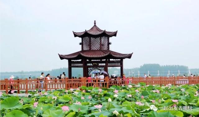 作为阜阳人,你知道阜阳有多少家A级景区吗?